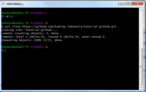 git clone ke pc