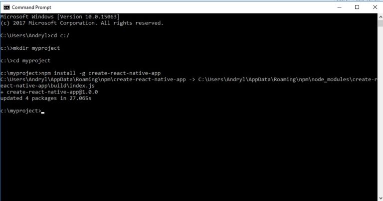 Npm install command